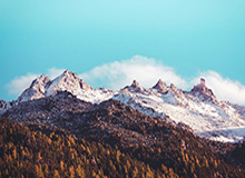 世界杯比赛结果-宁波男篮社媒分享视频：团建日，movie with barbecue